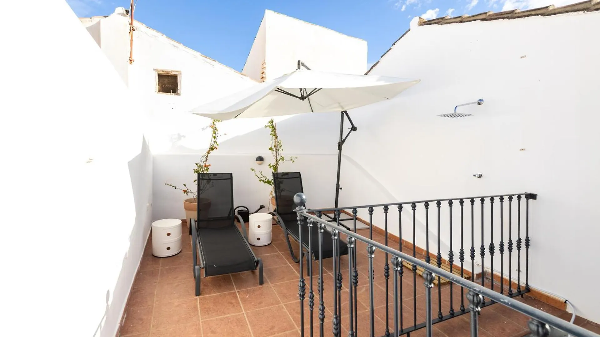 Spacious Bright Palace -1Bedroom-Terrace-Center Malaga Spain